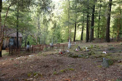 DSC_0925 (Large).JPG